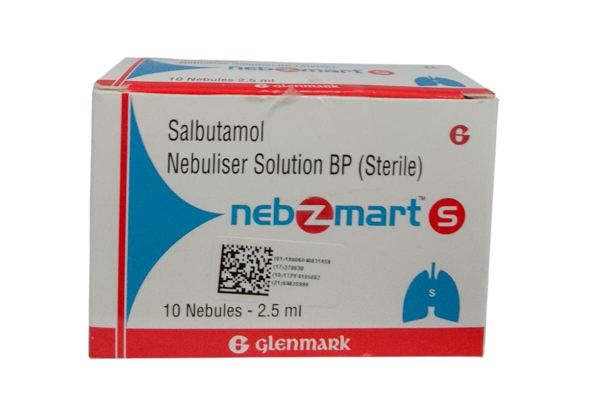 NEBZMART S 2.5ML 10S
