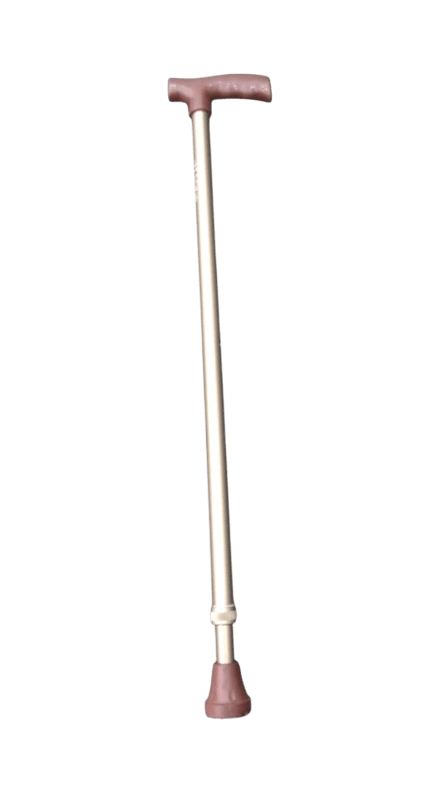 WALKING STICK SILVER LO7
