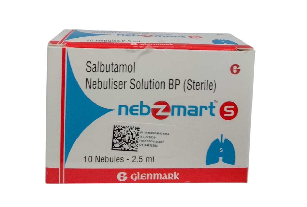 NEBZMART S 2.5ML 10S