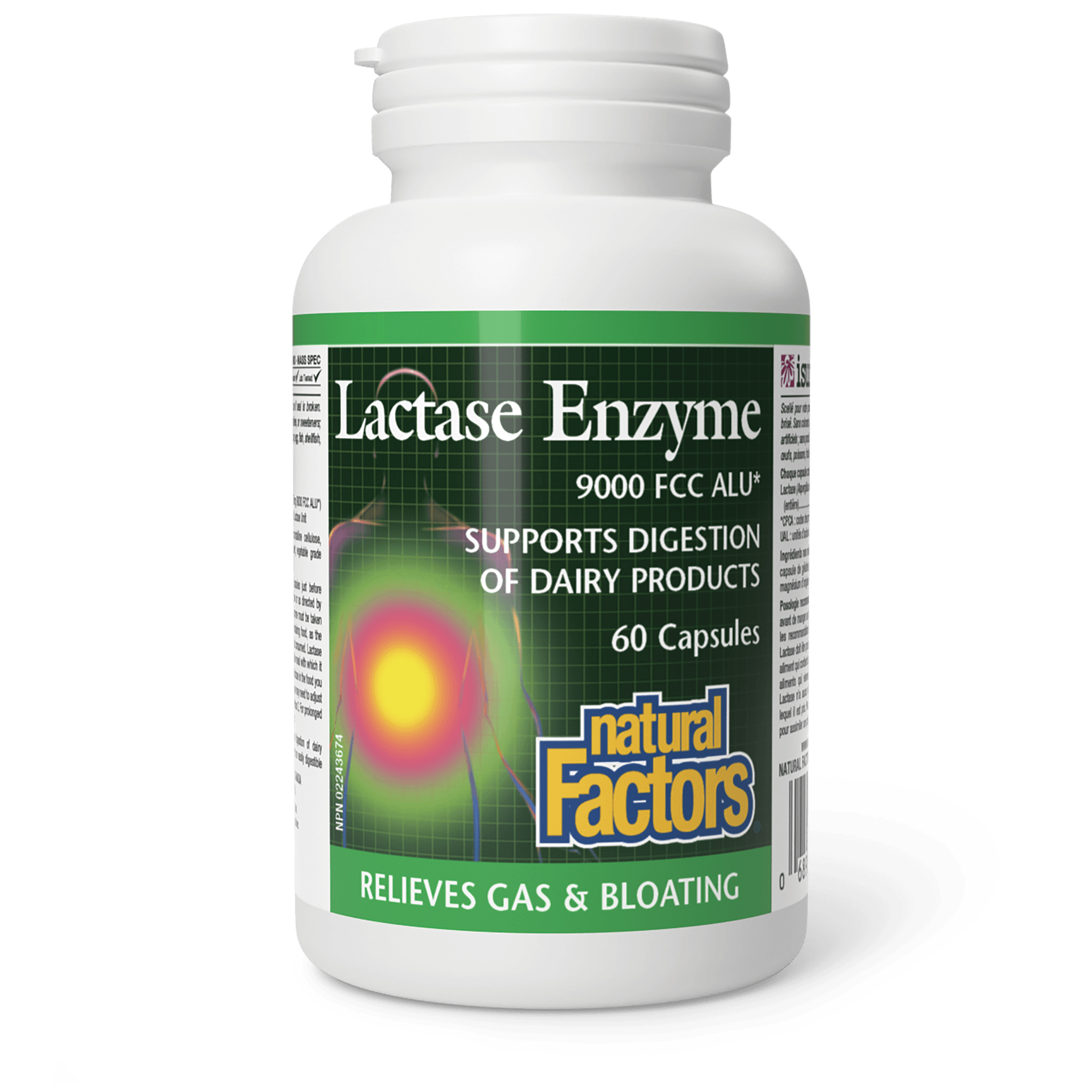 NATURAL FACTORS LACTASE ENZYME 60CAPSULES