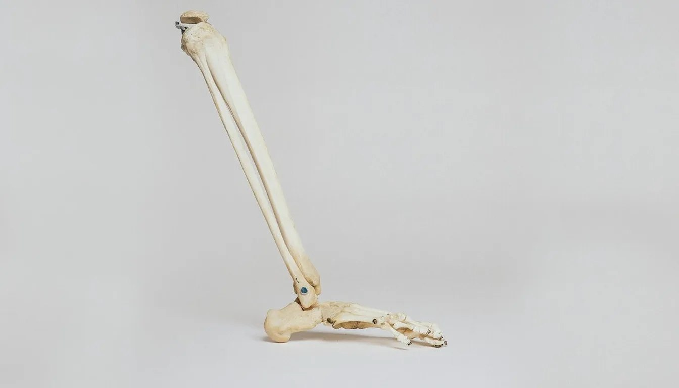 Calcium & Bone Health products at LifeMed Pharmacy Kenya