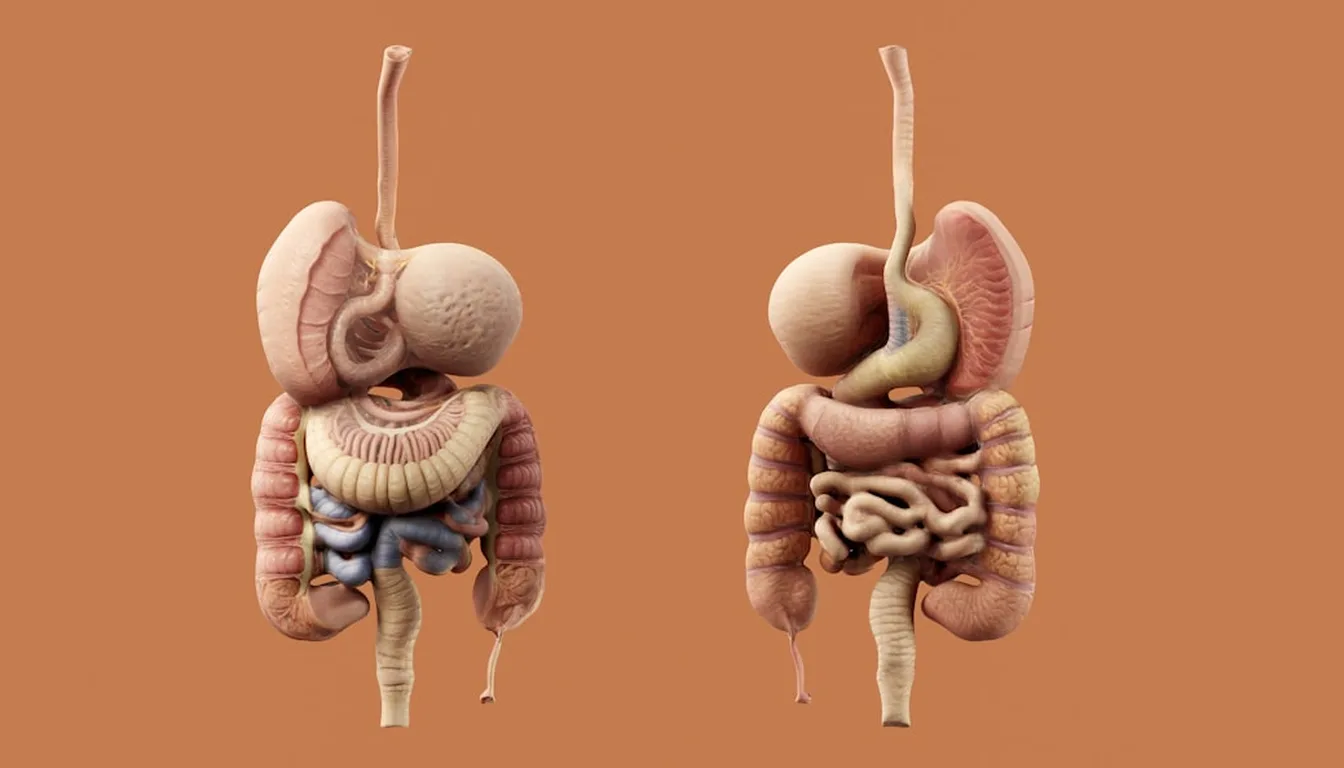 Gastrointestinal Meds products at LifeMed Pharmacy Kenya